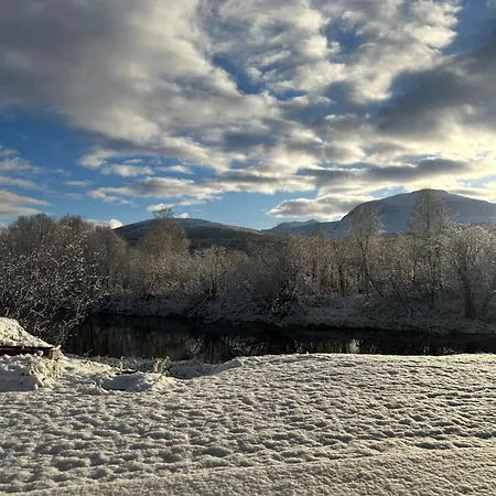 Anabranch Bliss * Overbygd