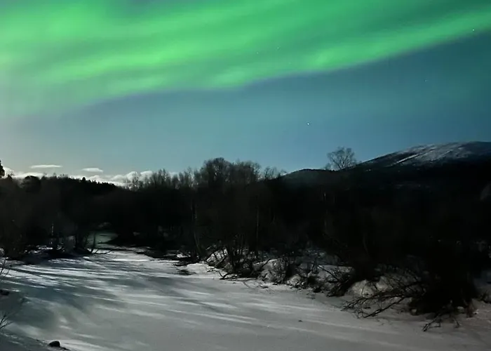 Anabranch Bliss Daire Overbygd