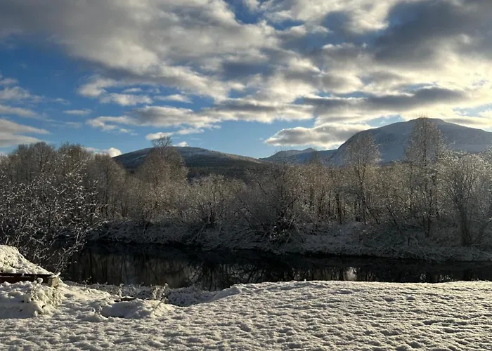 Anabranch Bliss * Overbygd