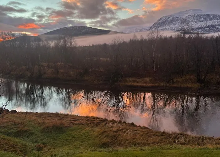 Daire Anabranch Bliss